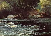 Winslow Homer Hudson River Rapids oil painting artist